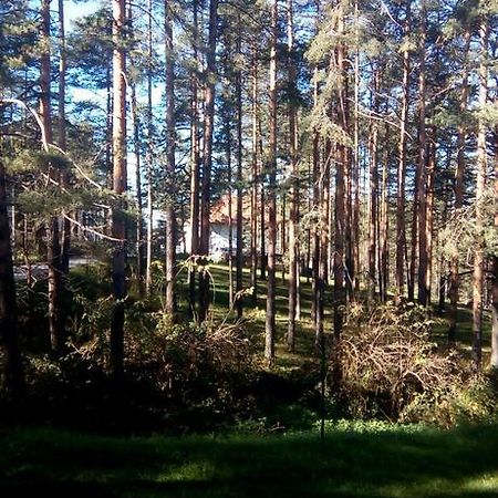Apartment 9 Gorska Vila Zlatibor Zewnętrze zdjęcie