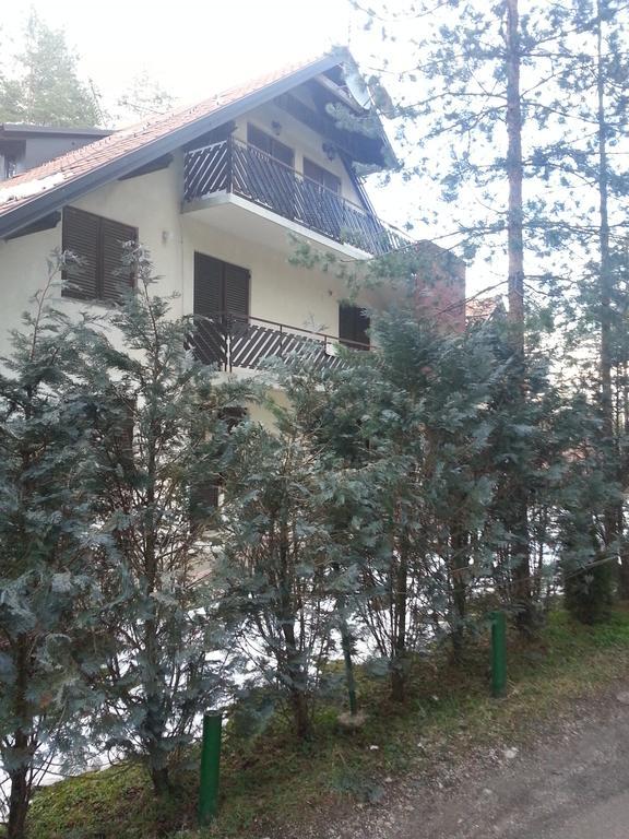 Apartment 9 Gorska Vila Zlatibor Zewnętrze zdjęcie