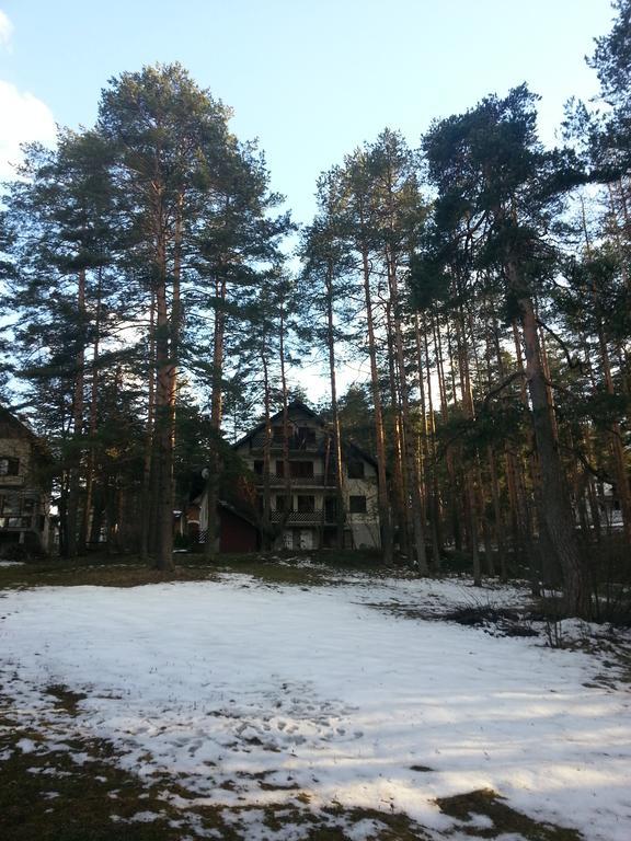 Apartment 9 Gorska Vila Zlatibor Zewnętrze zdjęcie